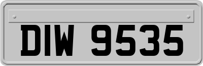 DIW9535