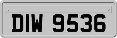 DIW9536