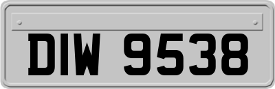 DIW9538