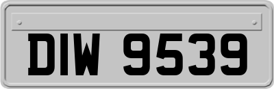 DIW9539