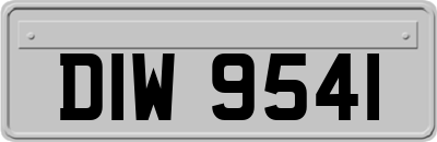 DIW9541