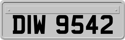 DIW9542