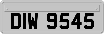 DIW9545