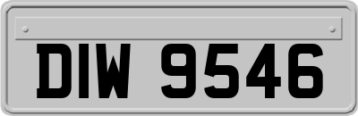 DIW9546