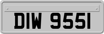 DIW9551