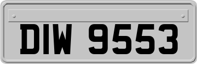 DIW9553