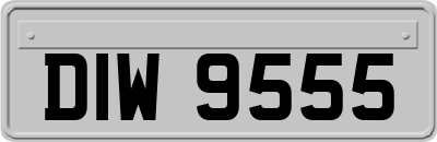 DIW9555