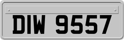 DIW9557