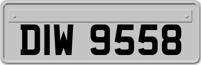 DIW9558