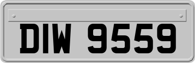 DIW9559