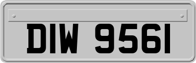 DIW9561