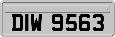 DIW9563