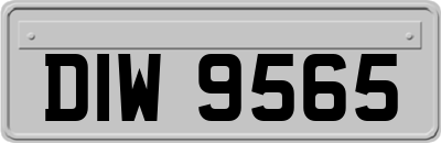 DIW9565