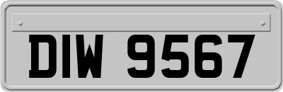 DIW9567