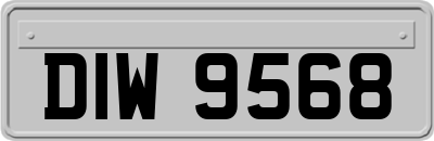 DIW9568