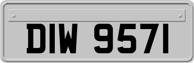 DIW9571