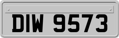 DIW9573