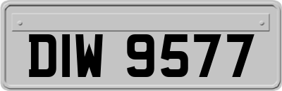 DIW9577