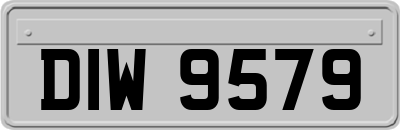 DIW9579