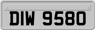 DIW9580