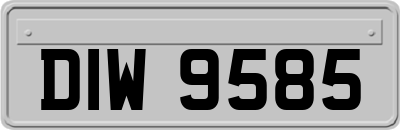 DIW9585