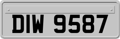 DIW9587