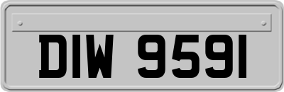 DIW9591
