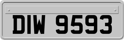 DIW9593