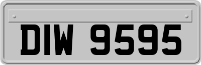 DIW9595