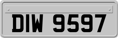 DIW9597