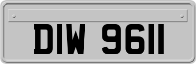 DIW9611
