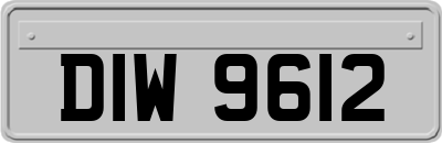 DIW9612