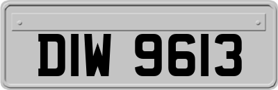 DIW9613