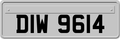 DIW9614
