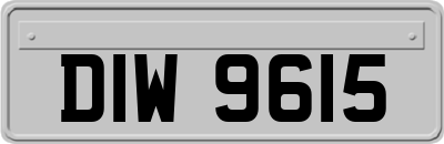 DIW9615