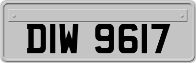 DIW9617
