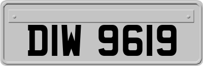 DIW9619