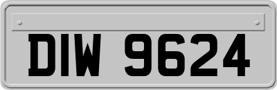 DIW9624