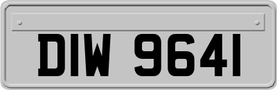 DIW9641