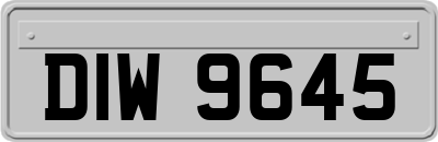DIW9645