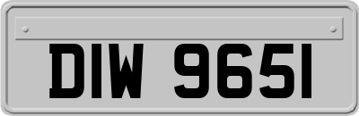 DIW9651
