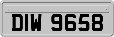DIW9658