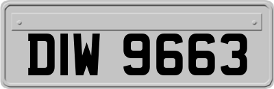 DIW9663