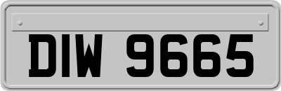 DIW9665