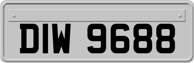 DIW9688