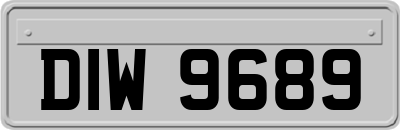 DIW9689
