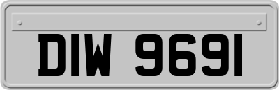 DIW9691
