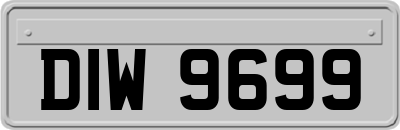 DIW9699