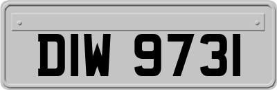 DIW9731