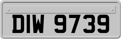 DIW9739